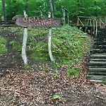Letniskowy - Zolty-caloroczny *