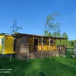 Letniskowy - Zolty-caloroczny
