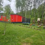 Letniskowy - Zolty-caloroczny