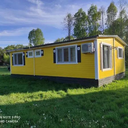 Letniskowy - Zolty-caloroczny