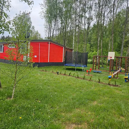 Letniskowy - Zolty-caloroczny