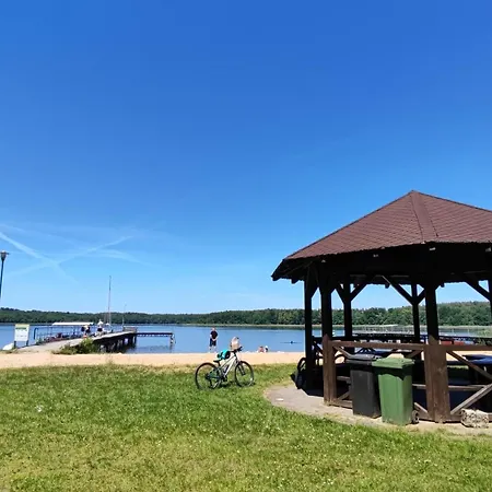 Letniskowy - Zolty-caloroczny *