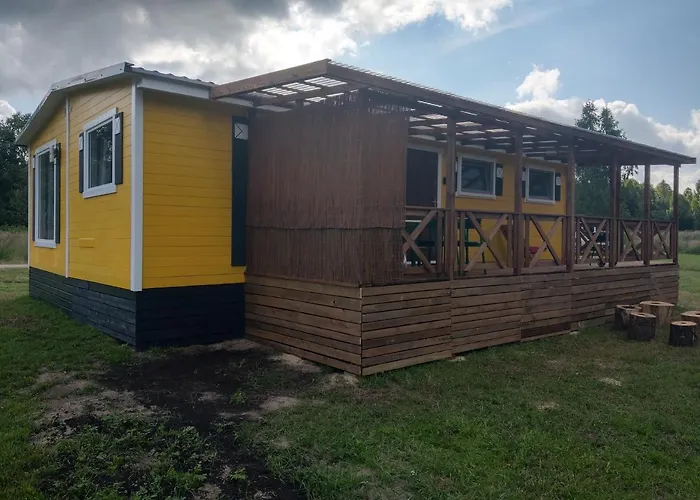 Letniskowy - żółty-całoroczny Rzeczenica