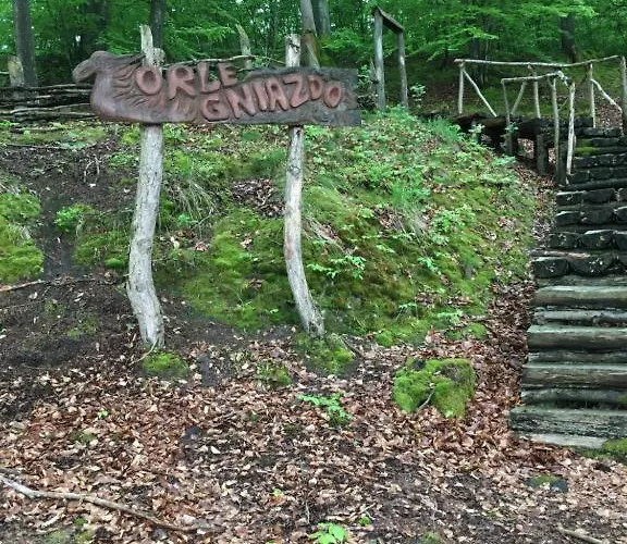 Letniskowy - żółty-całoroczny *