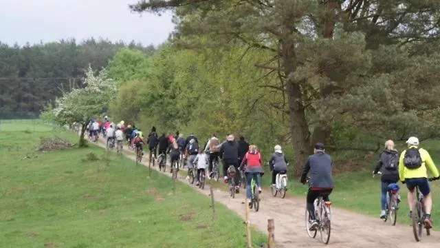 Letniskowy - żółty-całoroczny Rzeczenica
