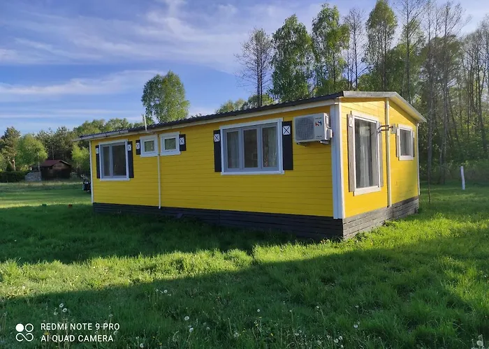 Letniskowy - żółty-całoroczny