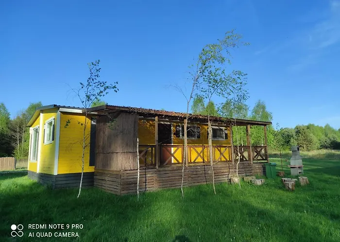 Letniskowy - żółty-całoroczny