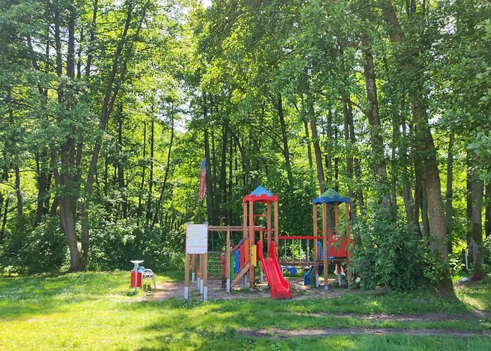 Letniskowy - żółty-całoroczny * Rzeczenica